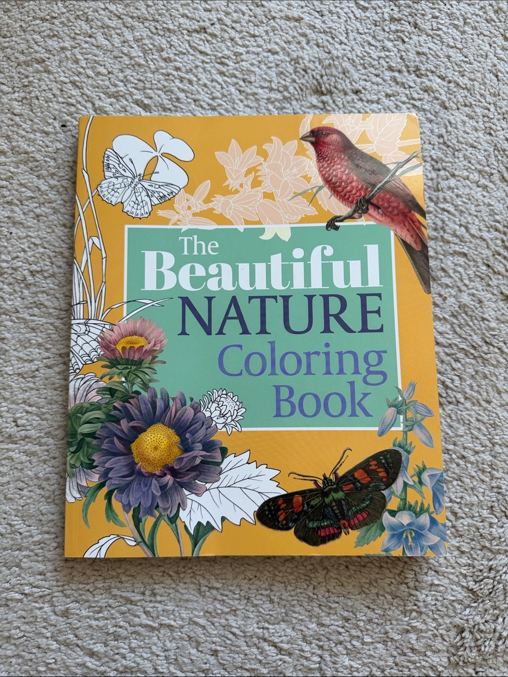 The Beautiful Nature Coloring Book - Picture 2 of 6